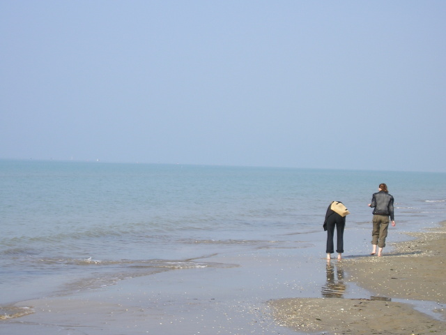P1010003.jpg
