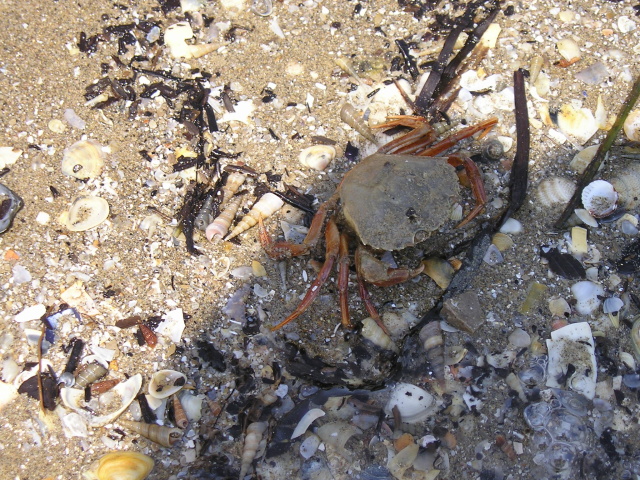 P1010007.jpg
