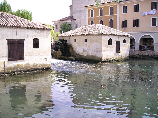 P1011677.jpg